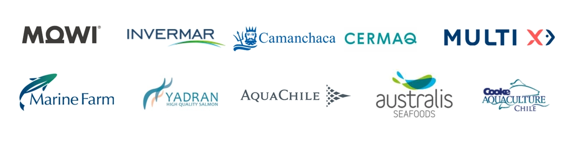 Mowi, Invermar, Camanchaca, Cermaq, Multi X, Marine Farm, Yadran, AquaChile, Australis Seafoods y Cooke Aquaculture Chile